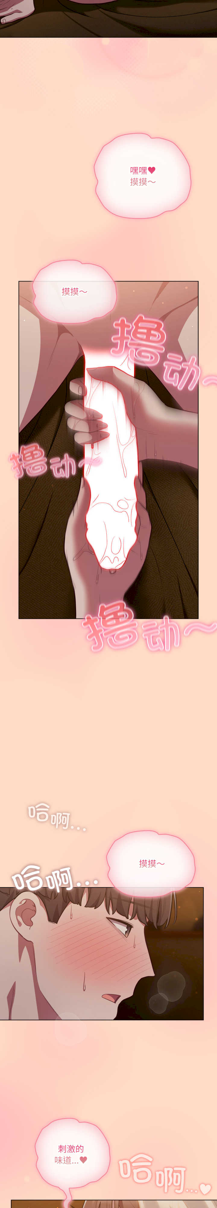 猫猫牵红线/喵来的恋爱