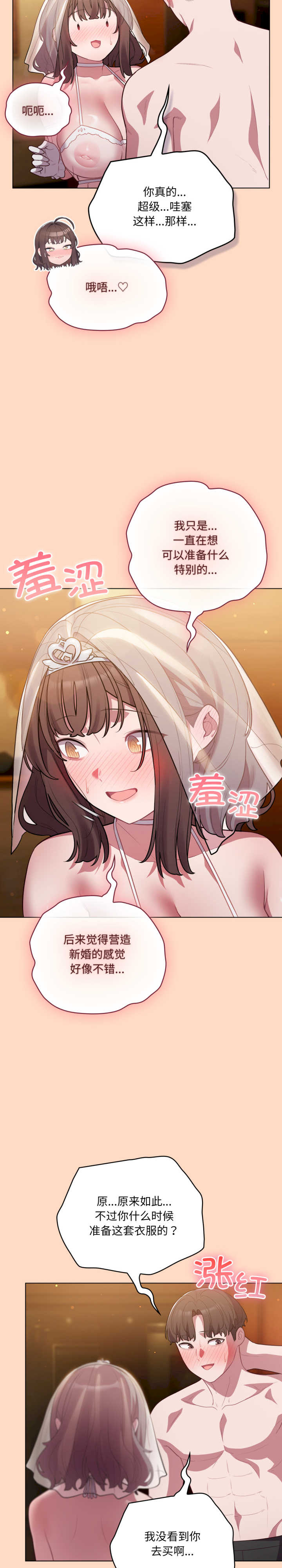 猫猫牵红线/喵来的恋爱