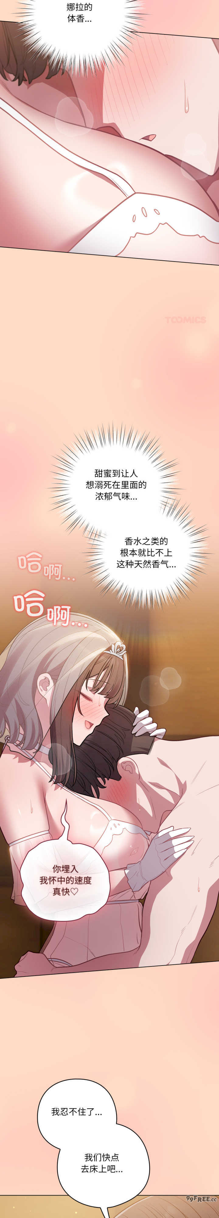 猫猫牵红线/喵来的恋爱