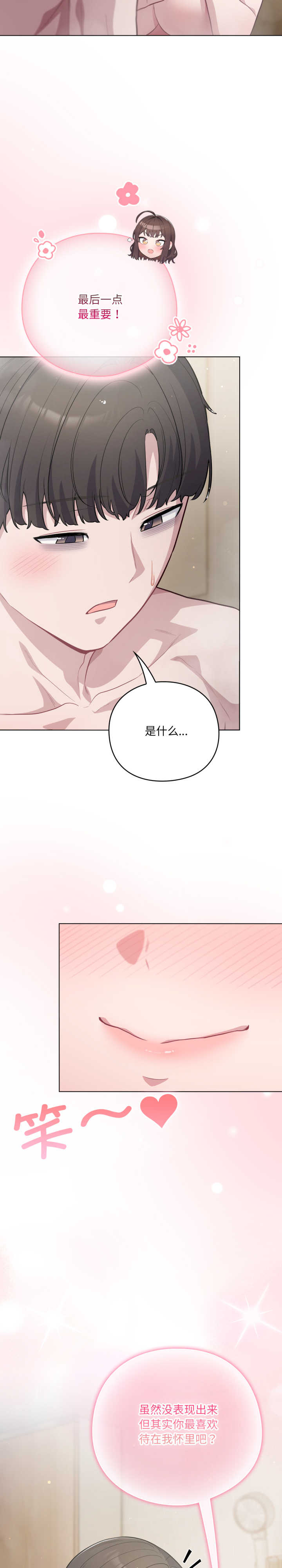 猫猫牵红线/喵来的恋爱