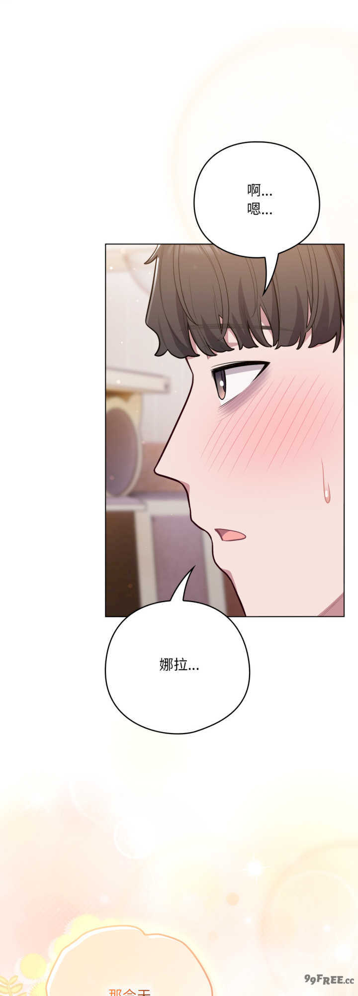 猫猫牵红线/喵来的恋爱