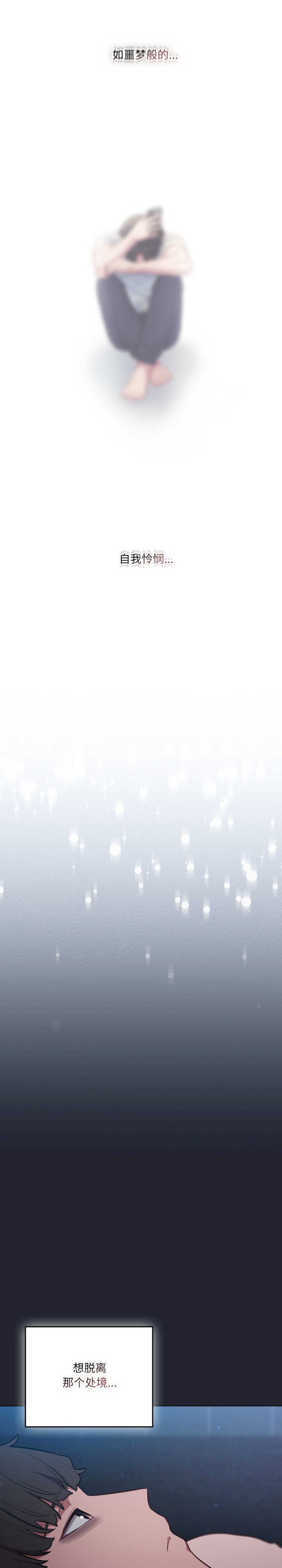 猫猫牵红线/喵来的恋爱