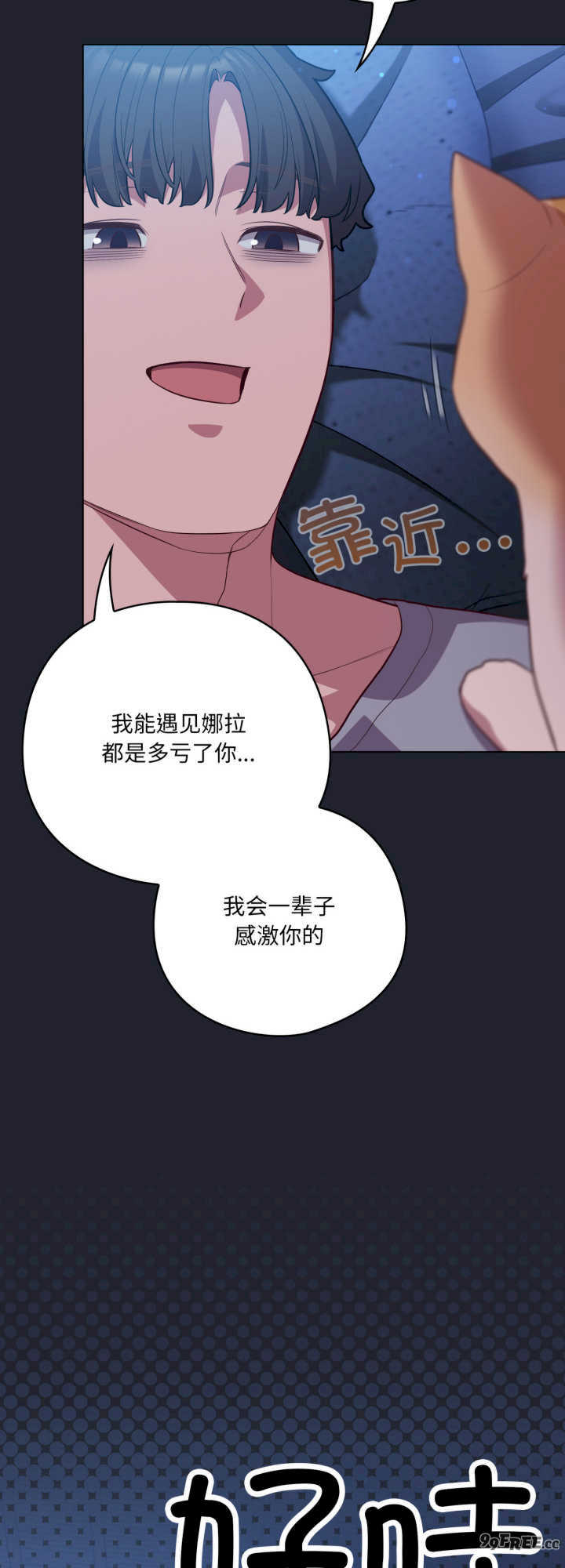 猫猫牵红线/喵来的恋爱