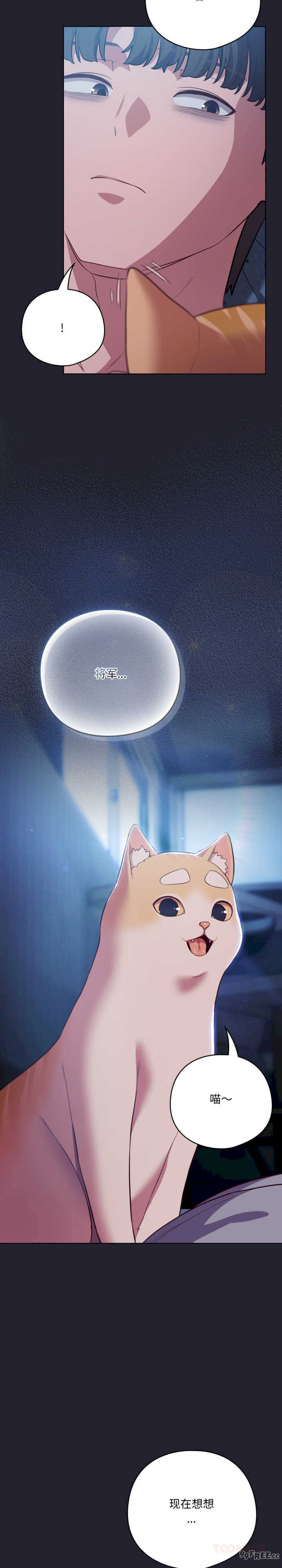 猫猫牵红线/喵来的恋爱