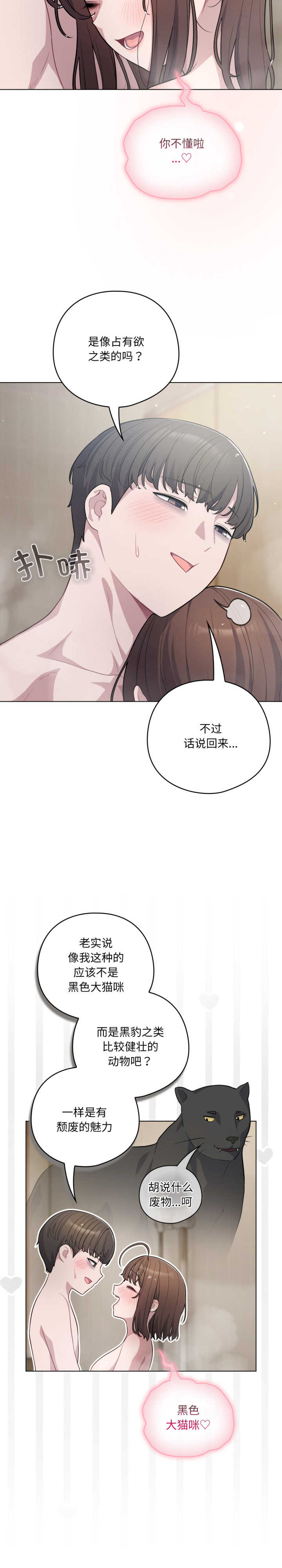 猫猫牵红线/喵来的恋爱