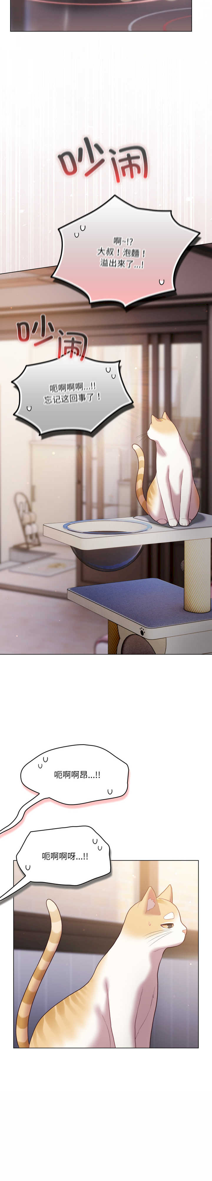 猫猫牵红线/喵来的恋爱