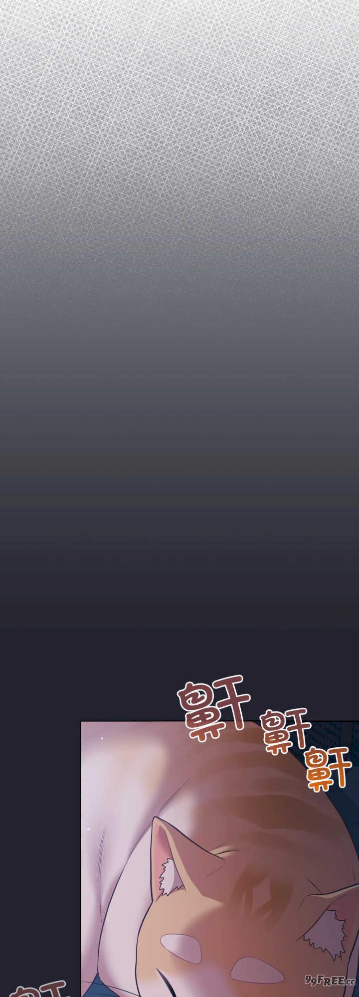 猫猫牵红线/喵来的恋爱