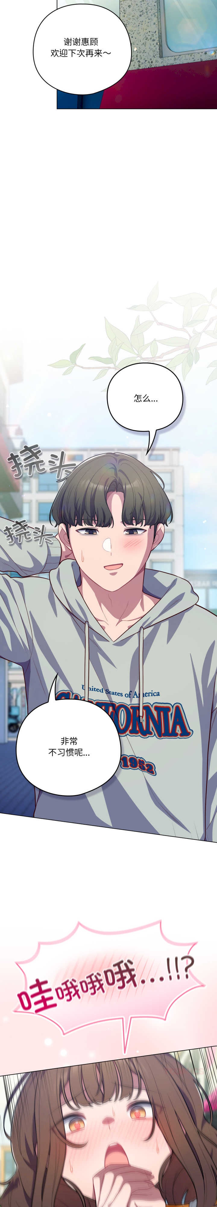 猫猫牵红线/喵来的恋爱