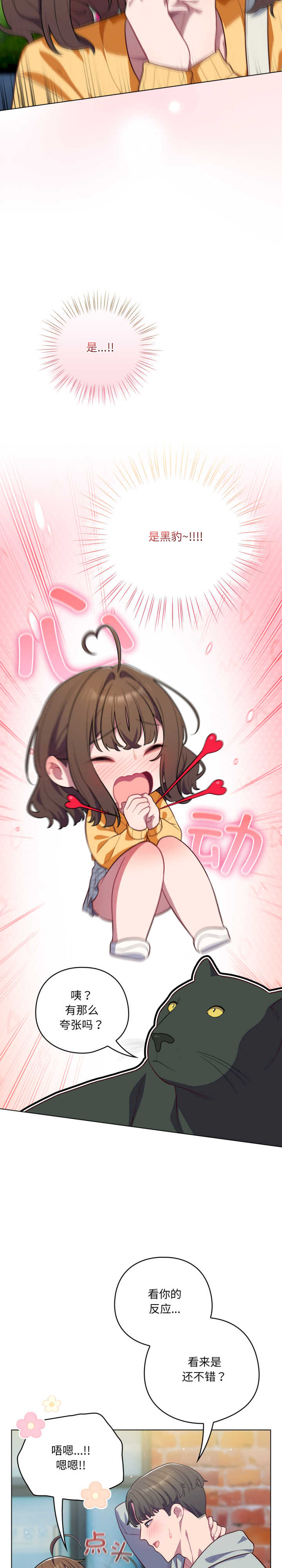 猫猫牵红线/喵来的恋爱