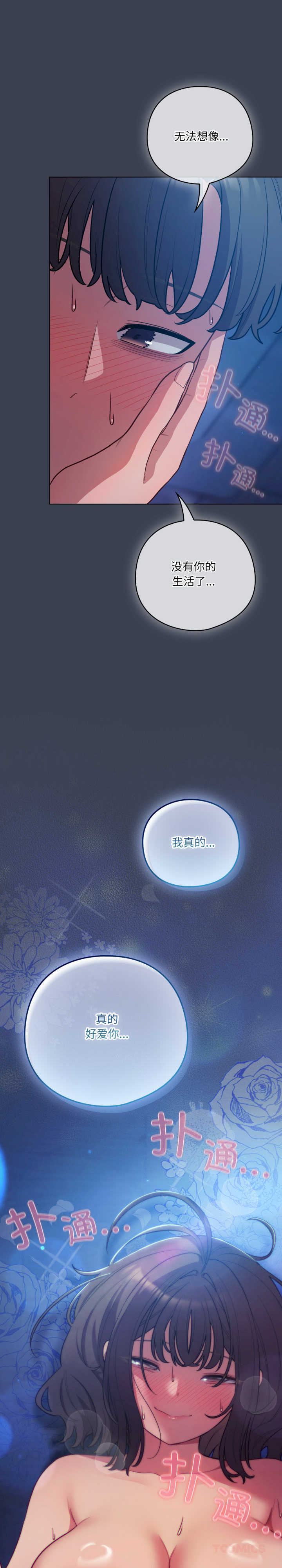 猫猫牵红线/喵来的恋爱