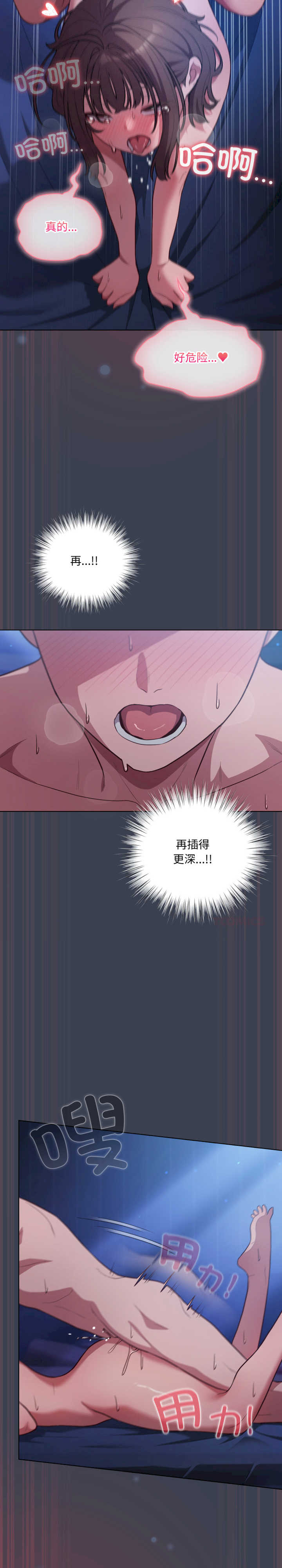 猫猫牵红线/喵来的恋爱