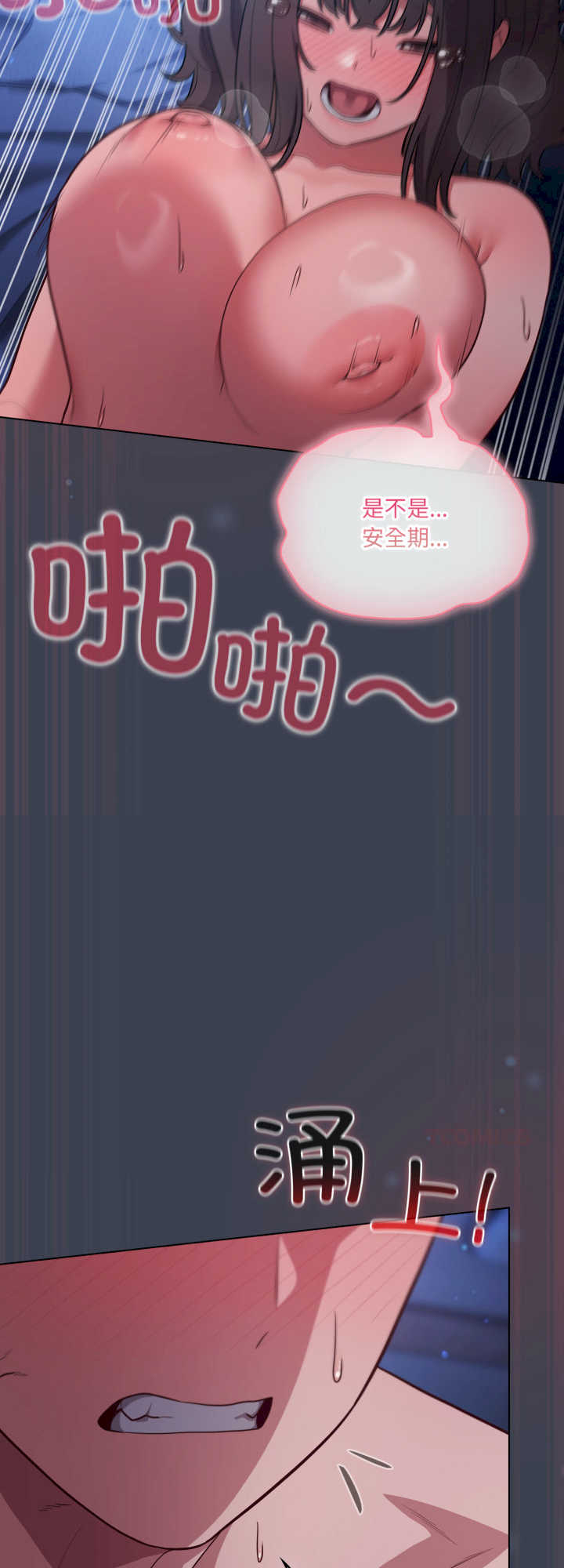 猫猫牵红线/喵来的恋爱