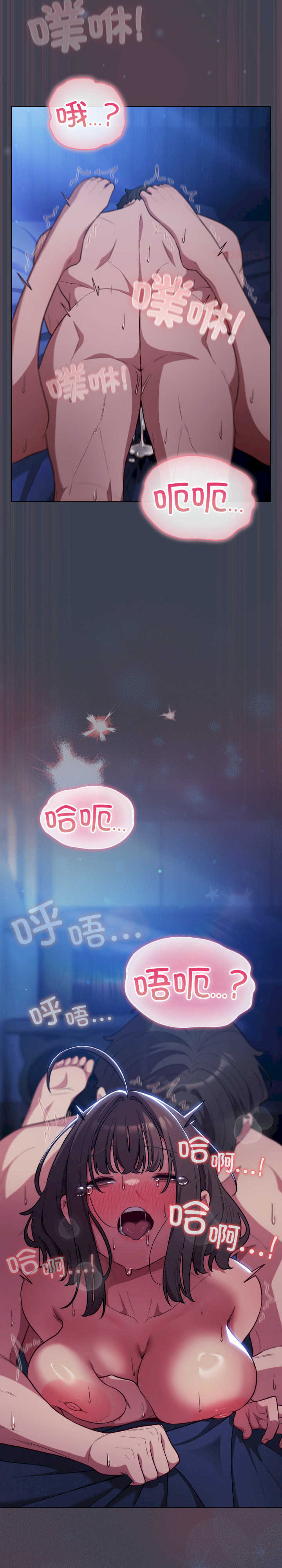 猫猫牵红线/喵来的恋爱