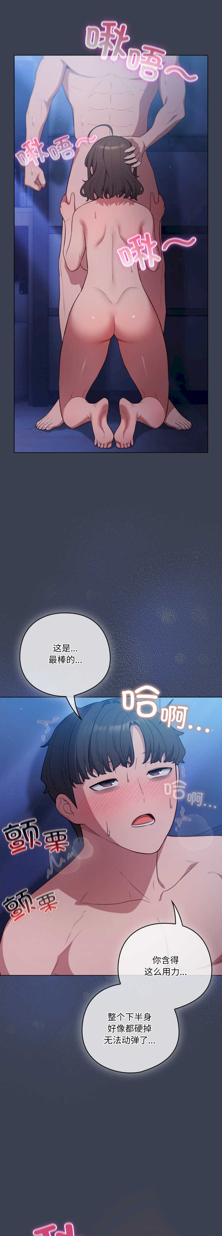 猫猫牵红线/喵来的恋爱