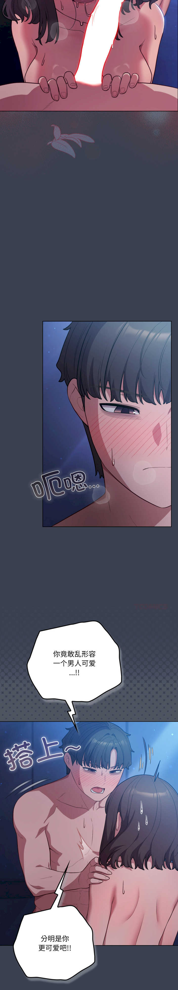 猫猫牵红线/喵来的恋爱