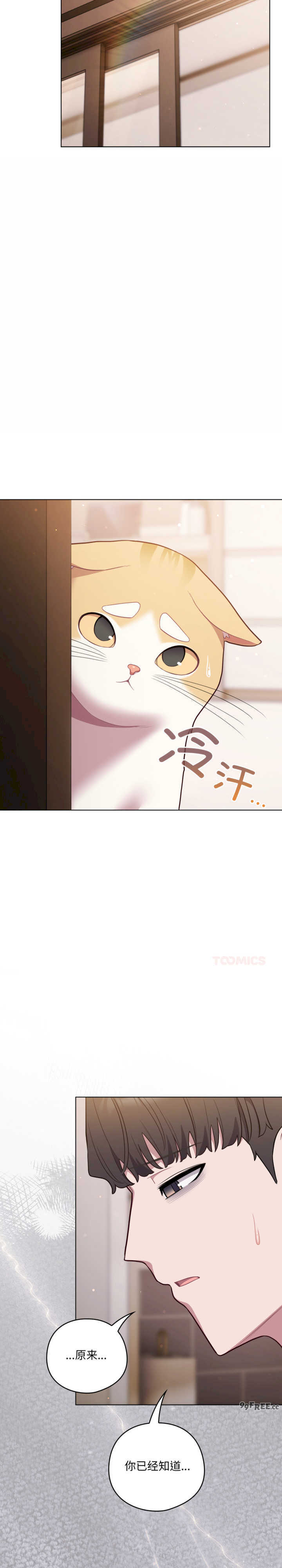 猫猫牵红线/喵来的恋爱