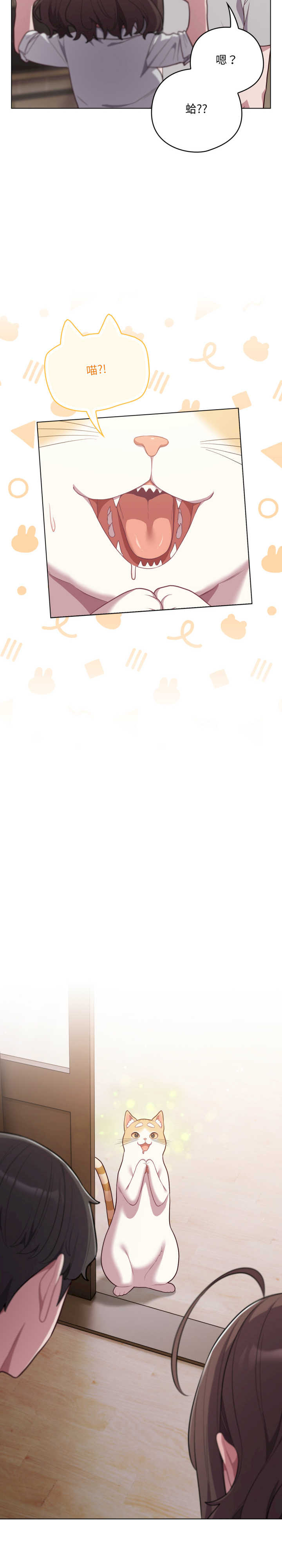 猫猫牵红线/喵来的恋爱