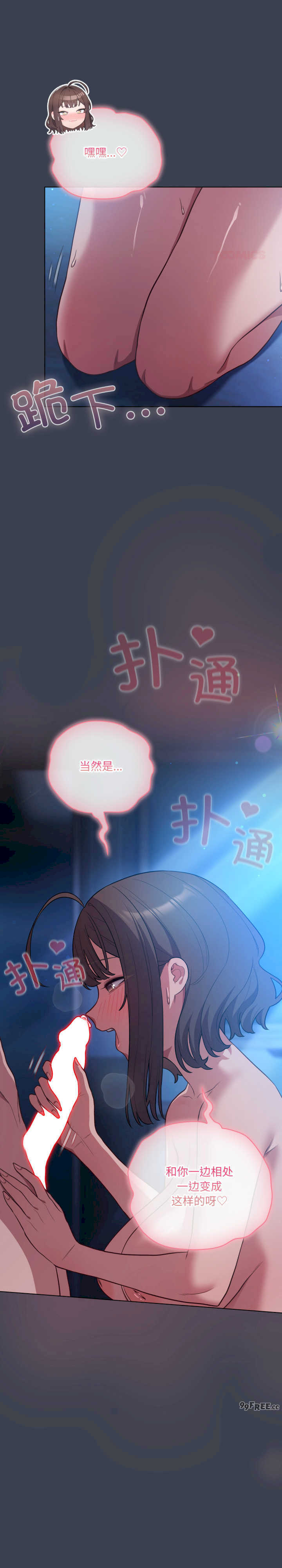 猫猫牵红线/喵来的恋爱