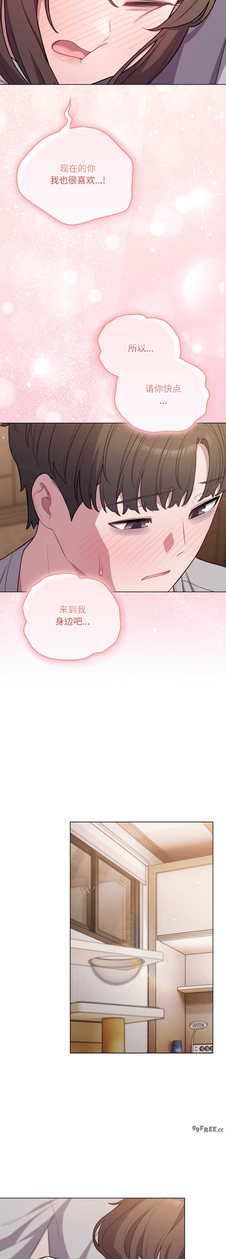 猫猫牵红线/喵来的恋爱