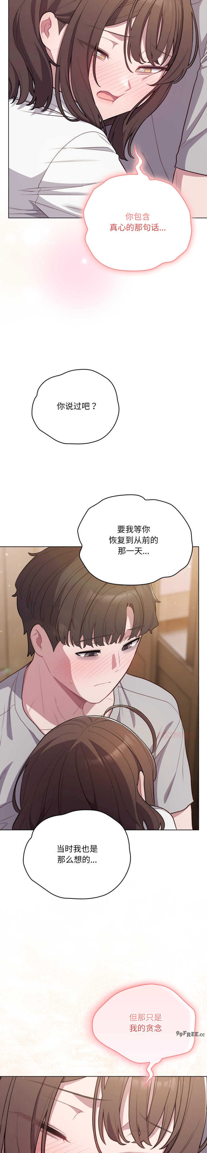 猫猫牵红线/喵来的恋爱