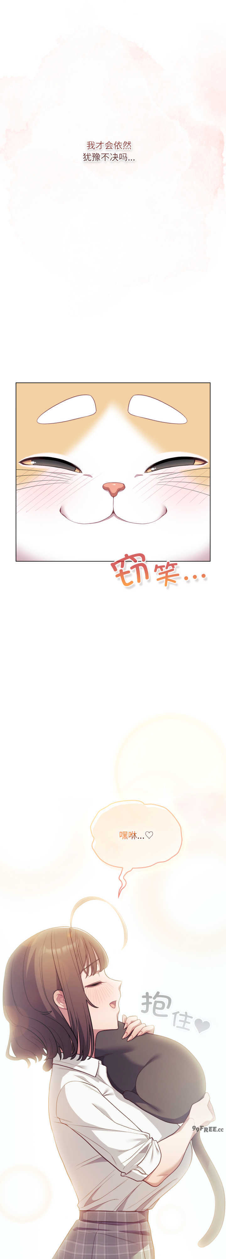 猫猫牵红线/喵来的恋爱