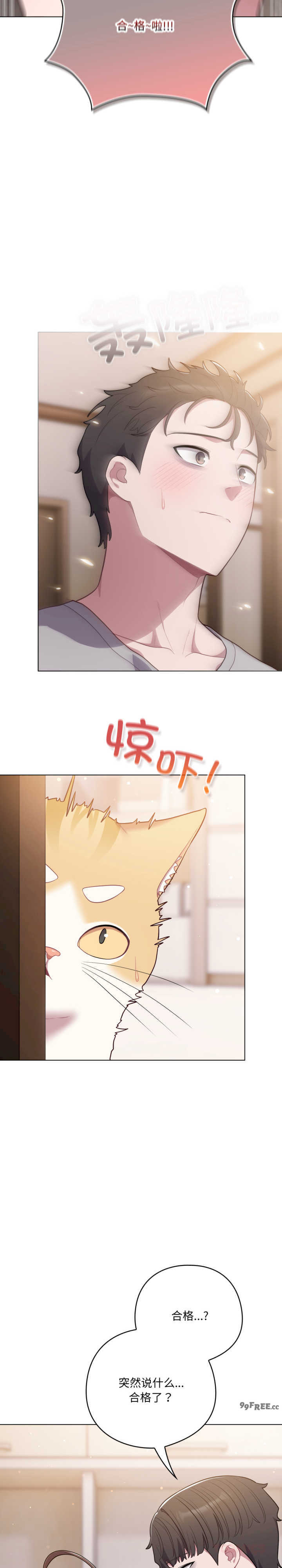 猫猫牵红线/喵来的恋爱