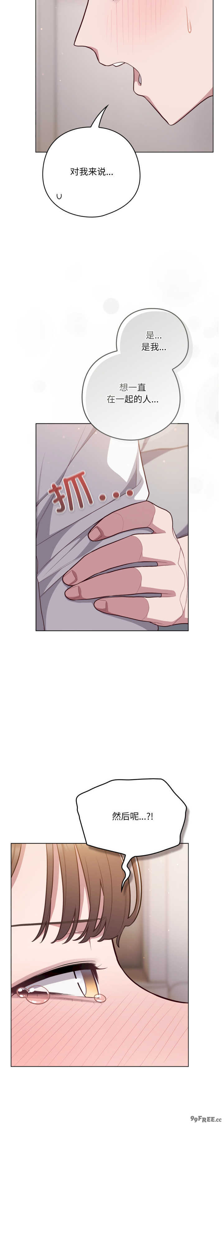 猫猫牵红线/喵来的恋爱