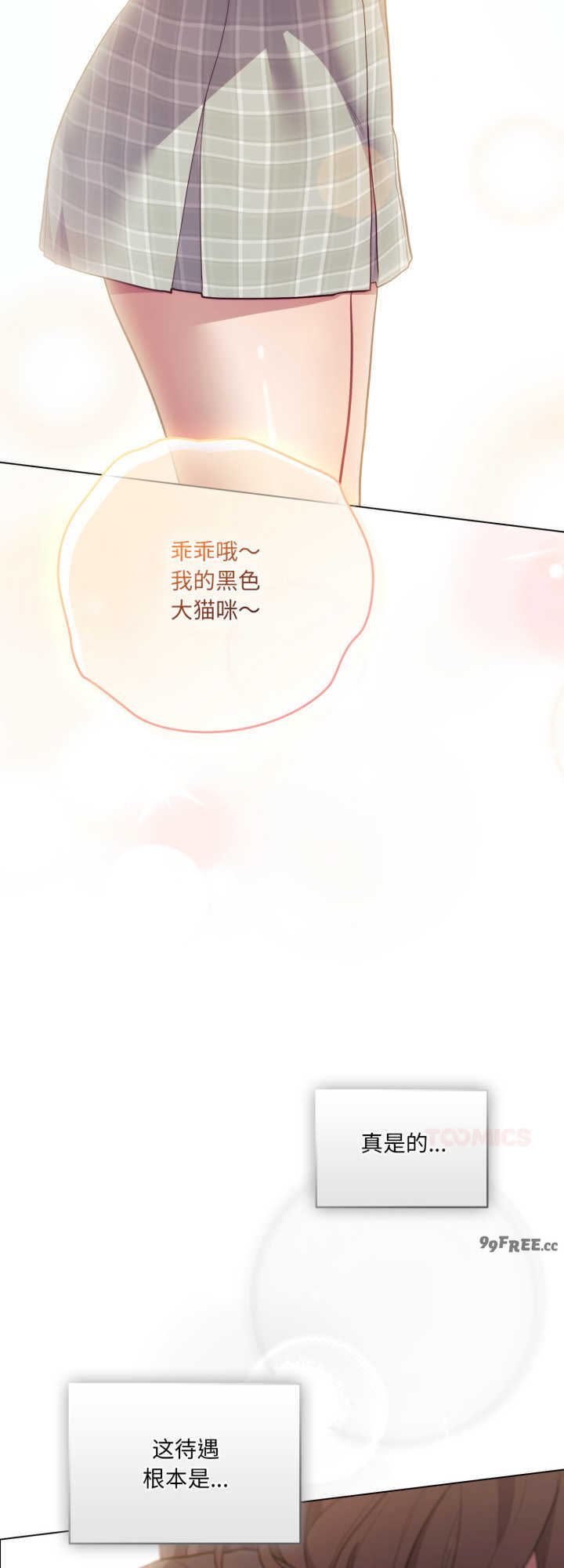 猫猫牵红线/喵来的恋爱