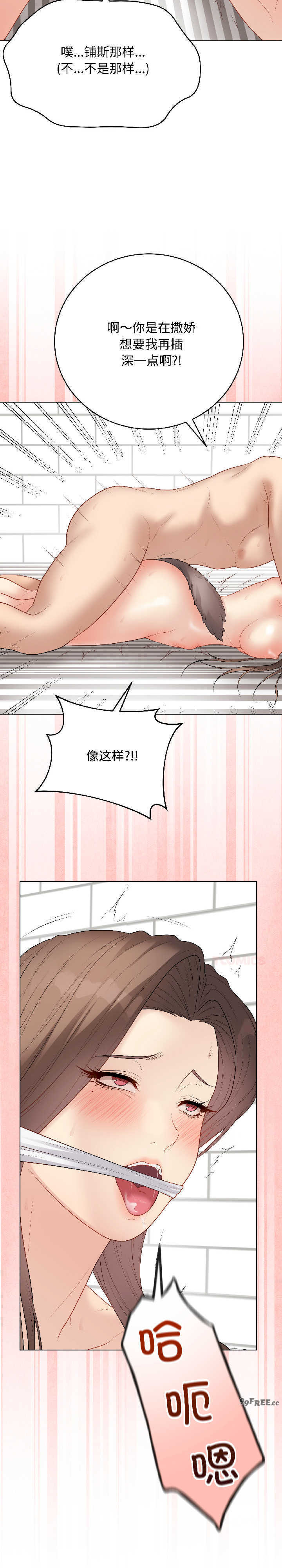 最后的冲刺/冲刺重考班