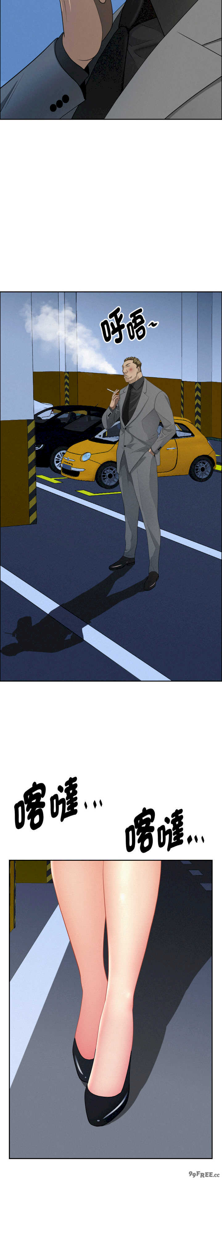 贵妇的专属保镖