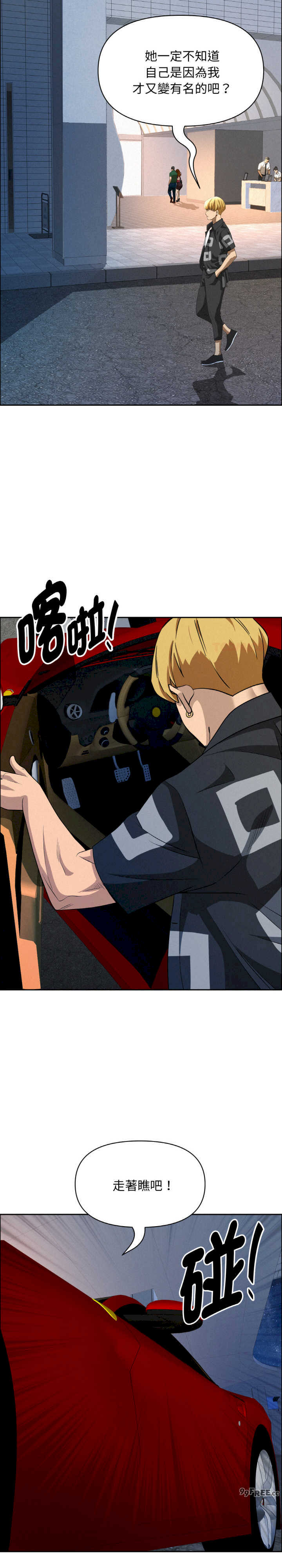 贵妇的专属保镖