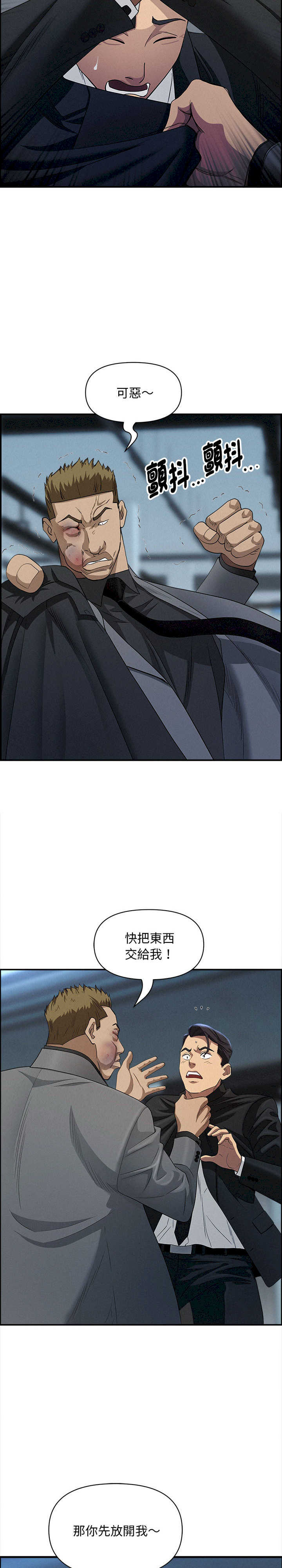 贵妇的专属保镖