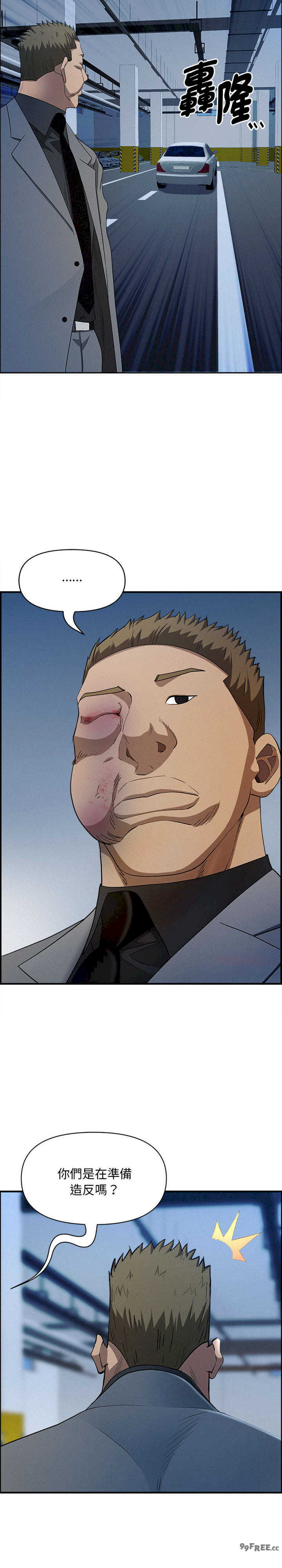 贵妇的专属保镖