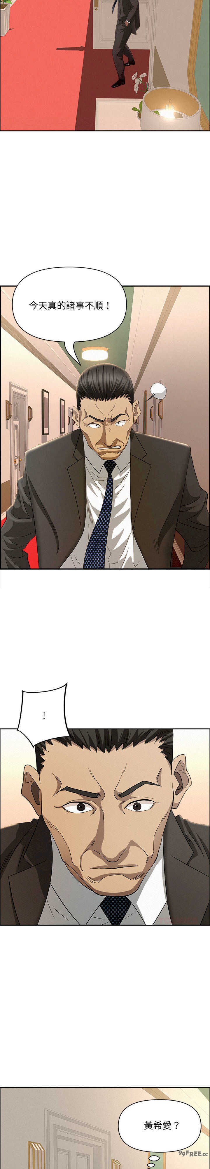 贵妇的专属保镖