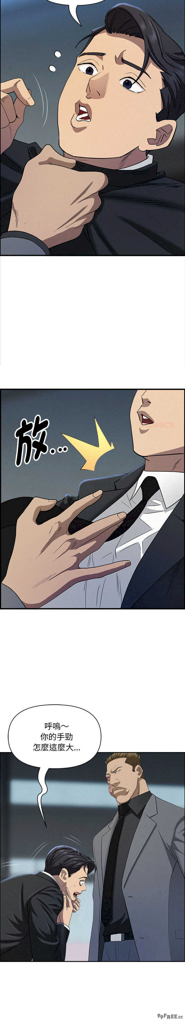 贵妇的专属保镖