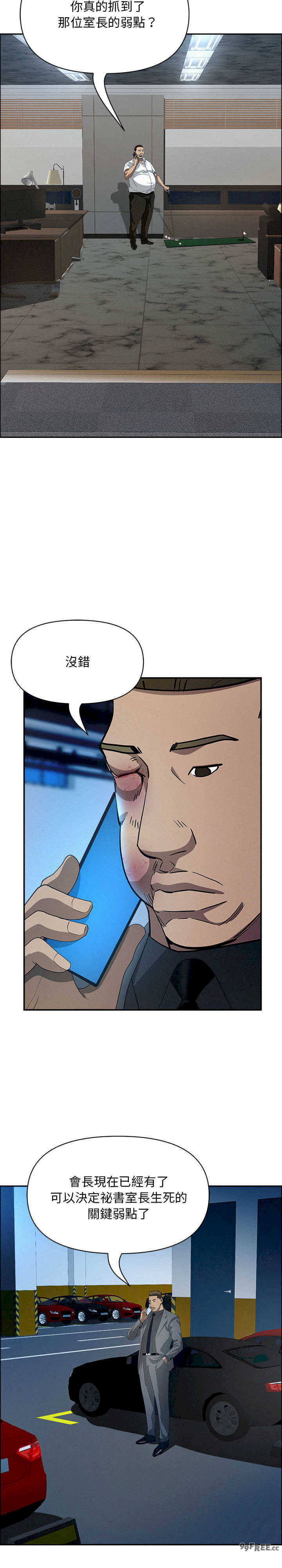 贵妇的专属保镖