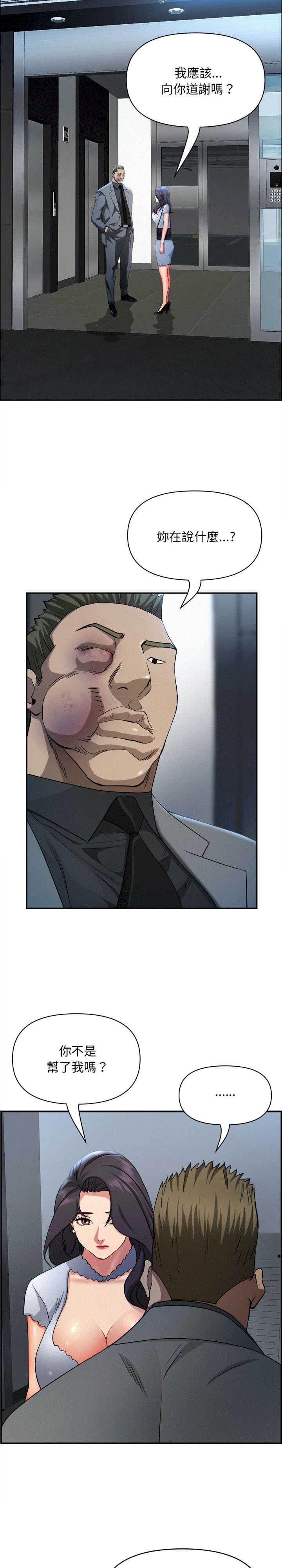 贵妇的专属保镖