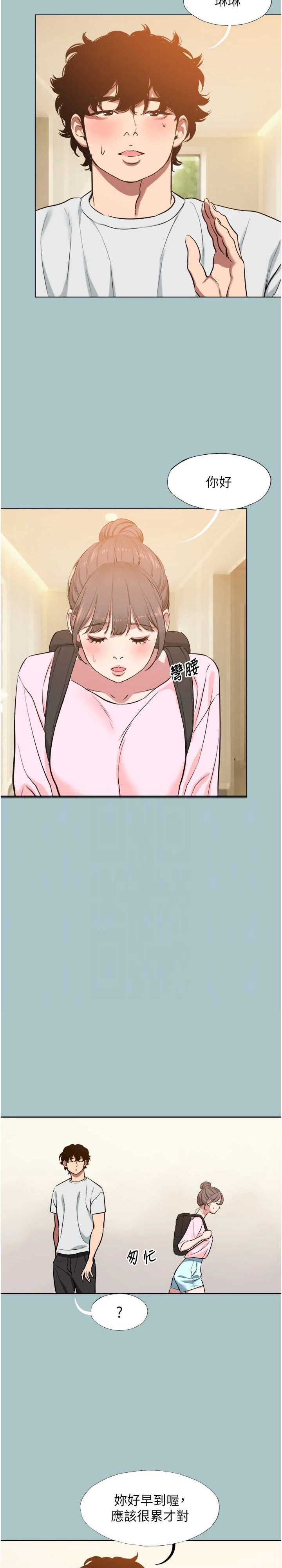 不要恋爱要打炮