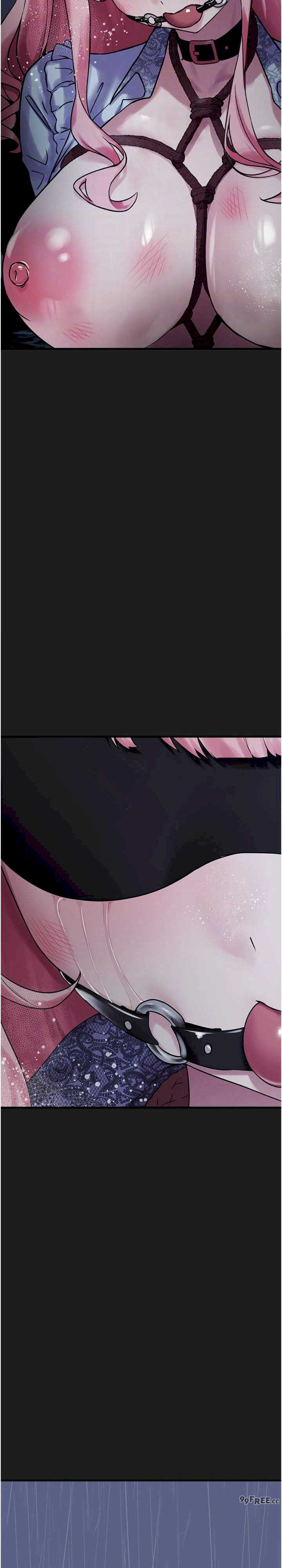 垃圾堆捡到宠物系萌妹