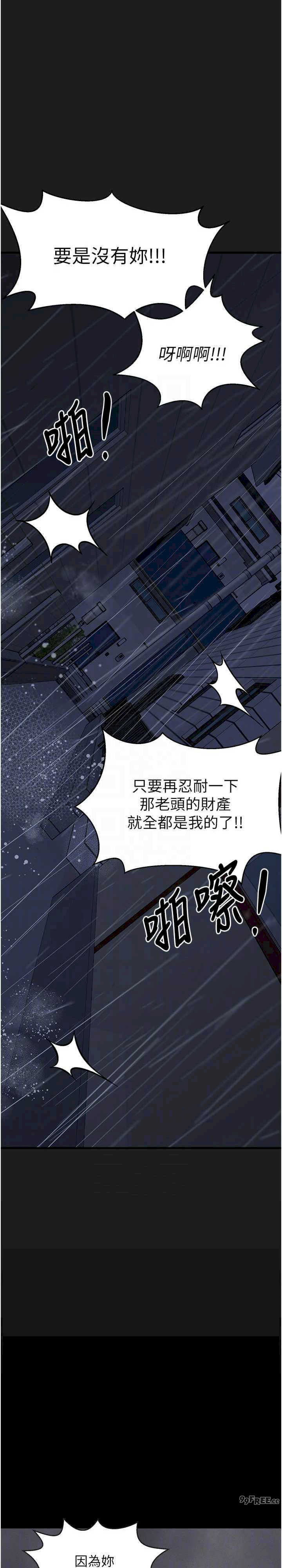 垃圾堆捡到宠物系萌妹