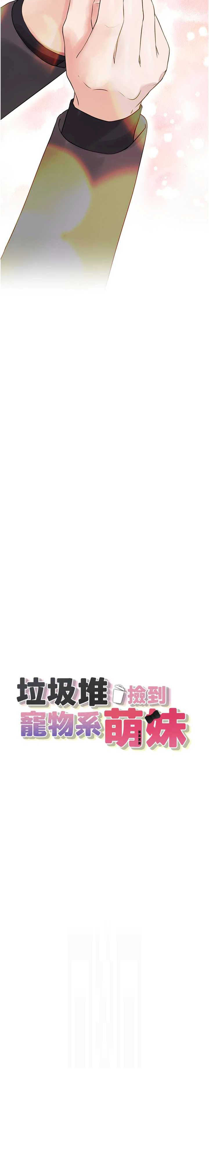 垃圾堆捡到宠物系萌妹