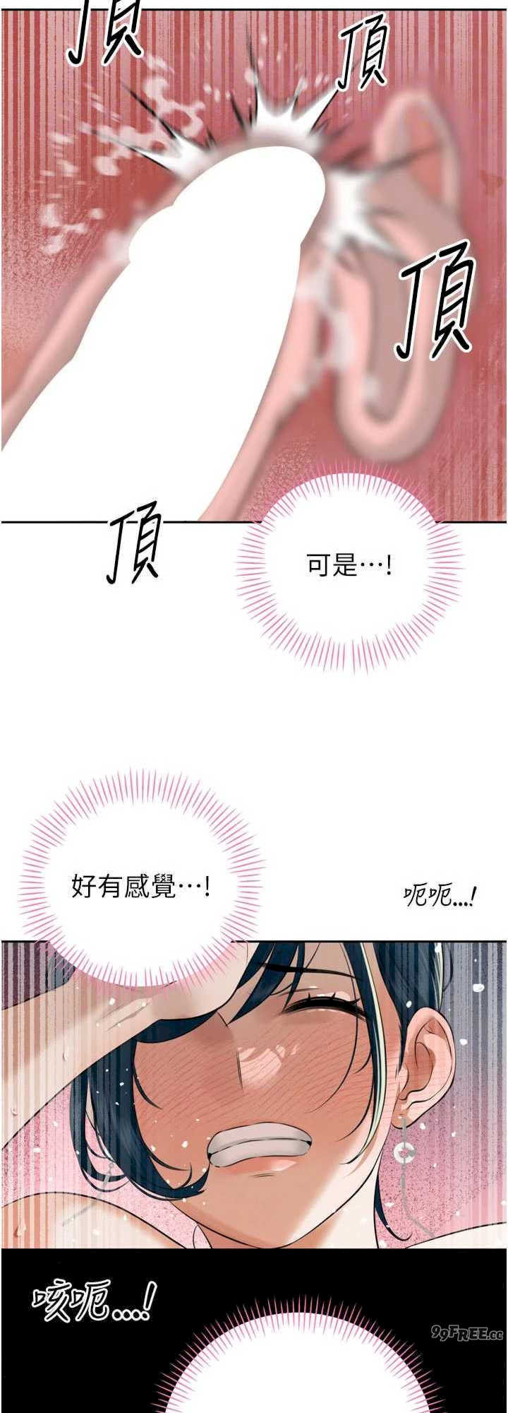 暴君会长的娇媳们