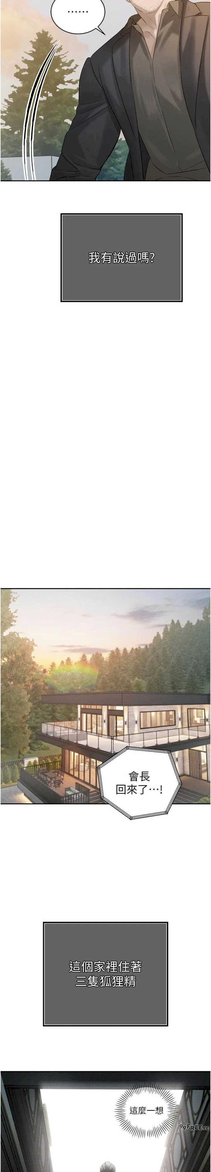 暴君会长的娇媳们