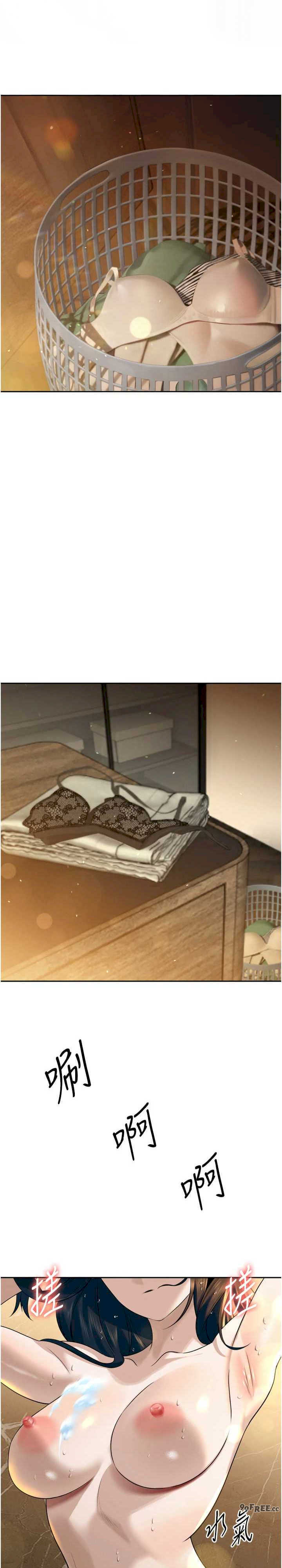 暴君会长的娇媳们