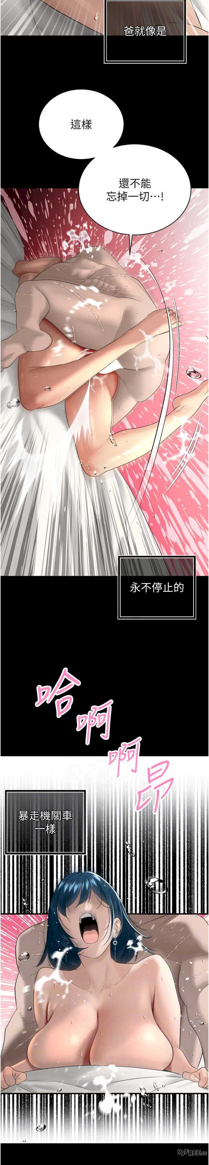 暴君会长的娇媳们