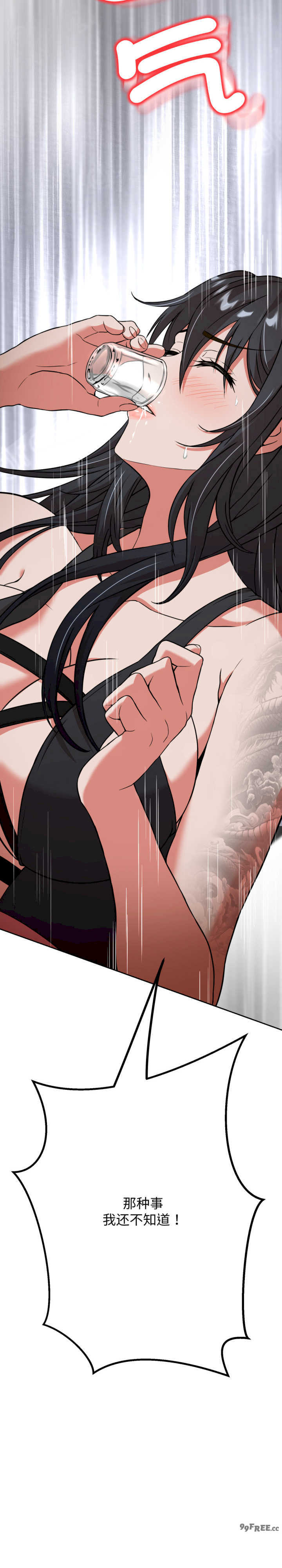 黑帮千金养成记/刺龙刺凤的女友