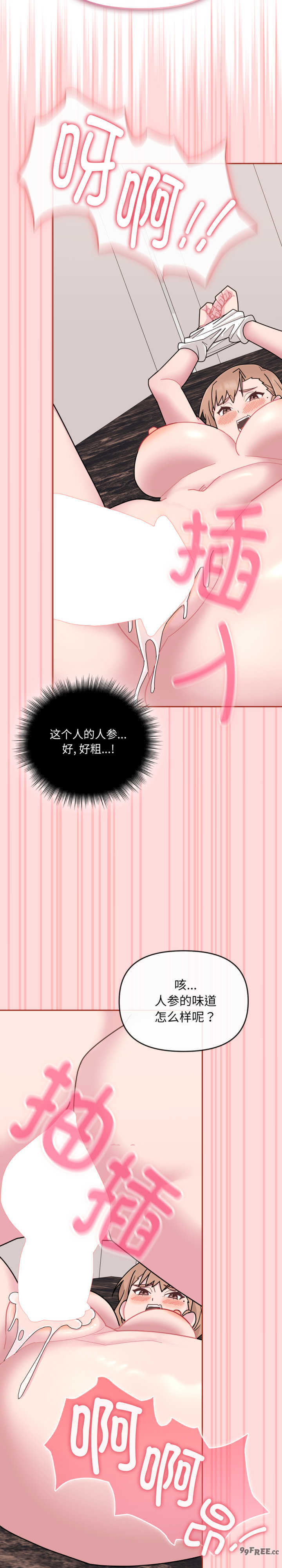 爱的调味课/新娘料理课程