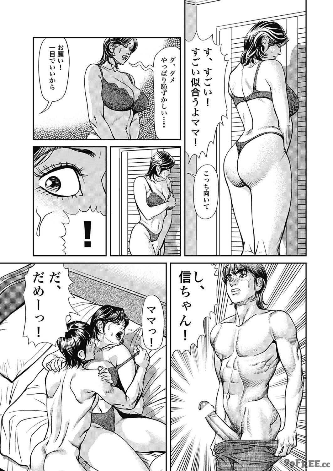 [セニョール大悦] 巨乳熟母のアブない快感 [DL版]