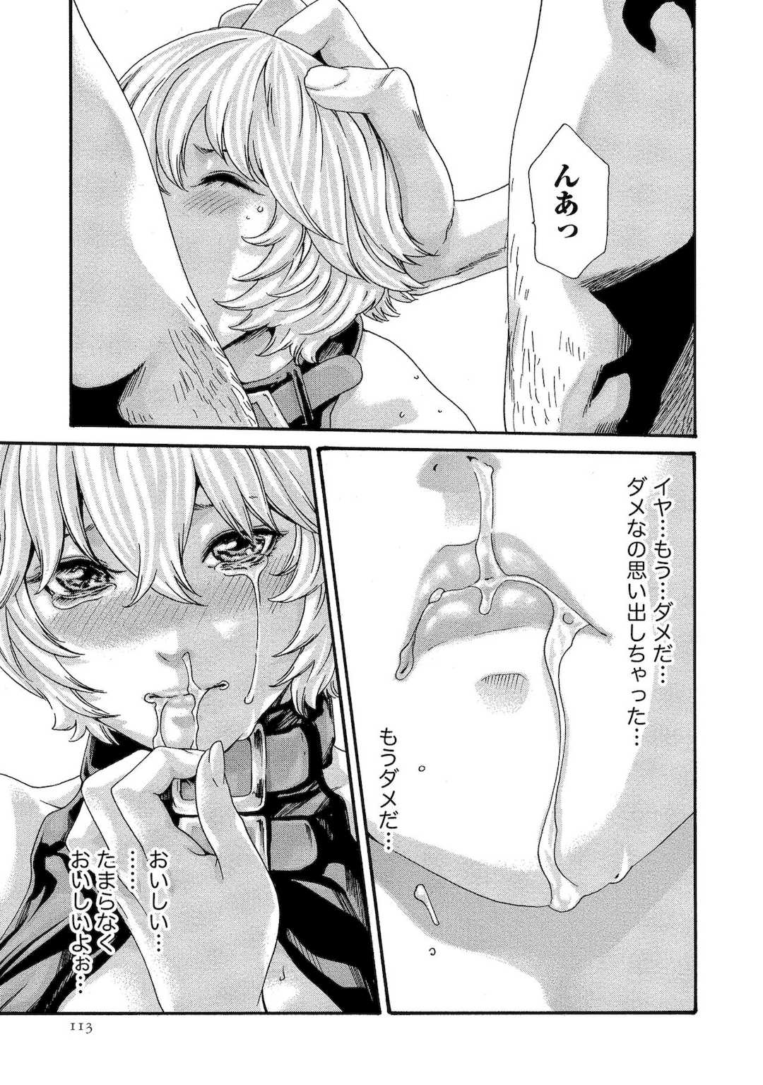 [春輝] 寄性獣医・鈴音 11