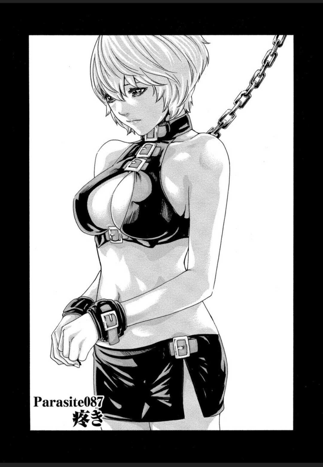 [春輝] 寄性獣医・鈴音 12